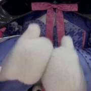 ましろ☆BASIC もしかしたら🥰 Ribbon 1st