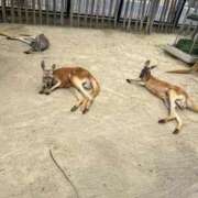 ヒメ日記 2026/02/28 16:38 投稿 みれい（極上SPコース対応） EIGHT（エイト）～8つのお約束と無限の可能性～