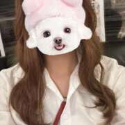 ヒメ日記 2025/06/29 17:38 投稿 くるみ non-non 神田(ノンノン神田)