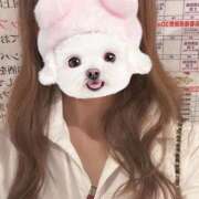 ヒメ日記 2025/07/30 18:08 投稿 くるみ non-non 神田(ノンノン神田)