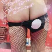 ヒメ日記 2025/07/28 18:54 投稿 ヒナ　説明不要なパーフェクトエロ ドMなバニーちゃん和歌山店