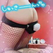 ヒメ日記 2025/08/05 18:04 投稿 ヒナ　説明不要なパーフェクトエロ ドMなバニーちゃん和歌山店