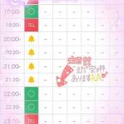 ヒメ日記 2025/08/05 18:54 投稿 ヒナ　説明不要なパーフェクトエロ ドMなバニーちゃん和歌山店