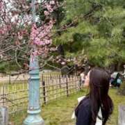 ヒメ日記 2026/03/23 17:14 投稿 クリスタル　【美の伝道師】 ドMなバニーちゃん和歌山店