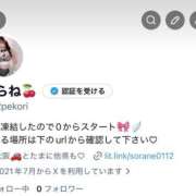 ヒメ日記 2026/04/13 14:03 投稿 月羽 空音／ツキハ ソラネ E+アイドルスクール　大阪・日本橋店