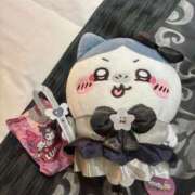 ヒメ日記 2025/06/09 08:14 投稿 時雨りのん HYPER TOKYO