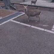 ヒメ日記 2025/06/22 20:04 投稿 渡辺 カナ こあくまな熟女たち 加古川店 (KOAKUMAグループ)