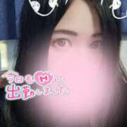 ヒメ日記 2025/12/25 16:03 投稿 佐倉 渚 昼妻夜 滋賀店