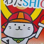 ヒメ日記 2026/01/27 23:48 投稿 佐倉 渚 昼妻夜 滋賀店