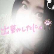 ヒメ日記 2026/04/03 12:03 投稿 佐倉 渚 昼妻夜 滋賀店