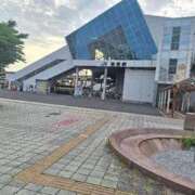 ヒメ日記 2026/04/29 16:33 投稿 佐倉 渚 昼妻夜 滋賀店