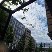 ヒメ日記 2026/08/16 11:18 投稿 佐倉 渚 昼妻夜 滋賀店