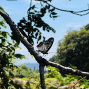 ヒメ日記 2025/08/22 20:52 投稿 菜々緒 倶楽部 月兎