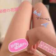 ヒメ日記 2025/06/03 07:01 投稿 現役英会話講師『ブレア』 グッドスマイル