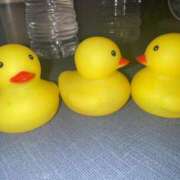 ヒメ日記 2025/10/23 16:01 投稿 さき 11チャンネル