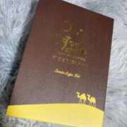 桜井　こはる 🥧🐫🌙* :ﾟ ナディア（奈良）