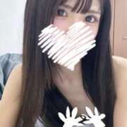 ことね 🐶 LEVEL1