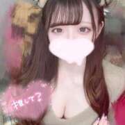 ヒメ日記 2025/09/13 19:30 投稿 みらん 今こそ!にゃんにゃん学園