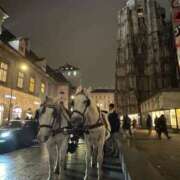 ヒメ日記 2025/12/20 19:56 投稿 あやか 道玄坂クリスタル