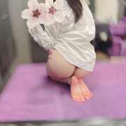 なつみ奥様 出勤予定⭐️ 川崎人妻ソープ Mint(ミント)