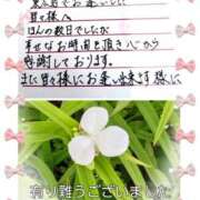 ヒメ日記 2025/06/08 17:50 投稿 佐野久美子 五十路マダム東広島店(カサブランカグループ)