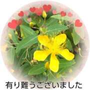 ヒメ日記 2025/06/26 17:06 投稿 佐野久美子 五十路マダム東広島店(カサブランカグループ)