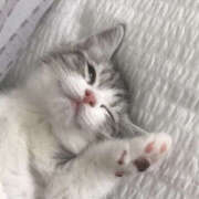 ヒメ日記 2025/11/09 09:41 投稿 えむ 彼女の部屋本店