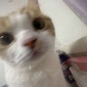 ヒメ日記 2025/11/23 07:19 投稿 えむ 彼女の部屋本店