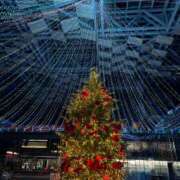 ヒメ日記 2025/12/24 20:42 投稿 さくら☆大人のエロさでリピ急増 新潟長岡ちゃんこ