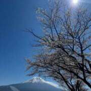 さくら☆大人のエロさでリピ急増 絶景✨ 新潟長岡ちゃんこ