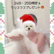 ヒメ日記 2025/12/24 16:04 投稿 【天乃 せい】 梅田ムチSpa女学院