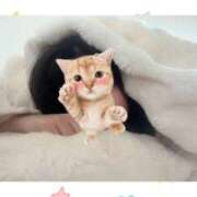 ヒメ日記 2026/02/01 08:34 投稿 【天乃 せい】 梅田ムチSpa女学院