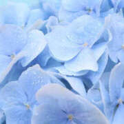 ヒメ日記 2025/06/13 07:45 投稿 えま 素人妻御奉仕倶楽部Hip's取手店