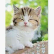 ヒメ日記 2025/06/17 15:15 投稿 えま 素人妻御奉仕倶楽部Hip's取手店