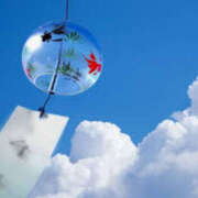 ヒメ日記 2025/07/24 15:31 投稿 えま 素人妻御奉仕倶楽部Hip's取手店