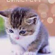 ヒメ日記 2025/08/27 09:51 投稿 えま 素人妻御奉仕倶楽部Hip's取手店