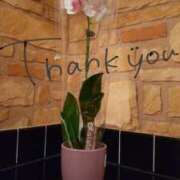 ヒメ日記 2025/10/03 15:51 投稿 えま 素人妻御奉仕倶楽部Hip's取手店