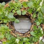 ヒメ日記 2025/10/24 15:21 投稿 えま 素人妻御奉仕倶楽部Hip's取手店