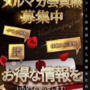 ヒメ日記 2025/11/14 11:51 投稿 えま 素人妻御奉仕倶楽部Hip's取手店