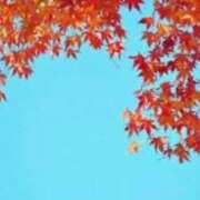 ヒメ日記 2025/11/27 20:11 投稿 えま 素人妻御奉仕倶楽部Hip's取手店