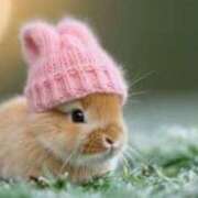 えま 変更になりました⏰️ 素人妻御奉仕倶楽部Hip's取手店