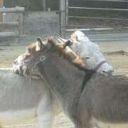 ヒメ日記 2026/01/09 07:51 投稿 えま 素人妻御奉仕倶楽部Hip's取手店