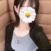 ヒメ日記 2025/07/03 14:31 投稿 れな しろうと娘in新宿