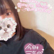 ヒメ日記 2025/08/11 10:56 投稿 みゆう 夜這い本舗