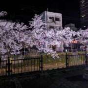 ヒメ日記 2026/03/25 15:21 投稿 かな☆遊ぶほど沼るおじ様キラー 新潟長岡ちゃんこ