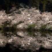 ヒメ日記 2026/04/11 23:38 投稿 かな☆遊ぶほど沼るおじ様キラー 新潟長岡ちゃんこ