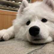 ヒメ日記 2025/06/18 19:38 投稿 あや 完全密室 無抵抗