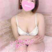 ヒメ日記 2025/05/31 12:04 投稿 さつき CA倶楽部