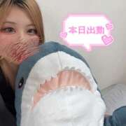 ヒメ日記 2025/06/18 12:28 投稿 ハラス(腹身) 女の子市場　川越店