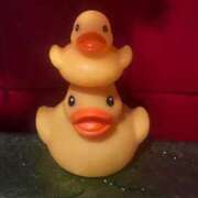 ヒメ日記 2025/08/31 00:25 投稿 セツナ バニーコレクション新潟店